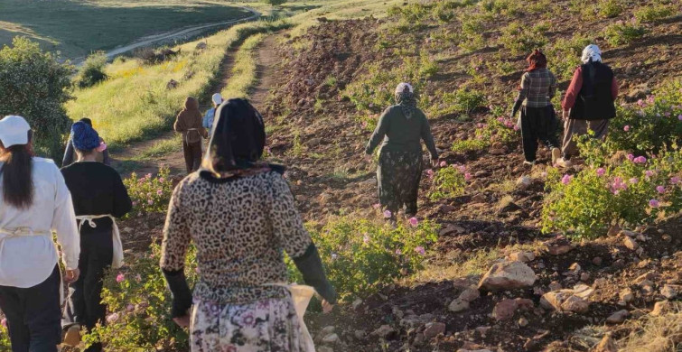 Mardin’deki gül bahçesi ile kadınlara istihdam imkanı sağlanıyor