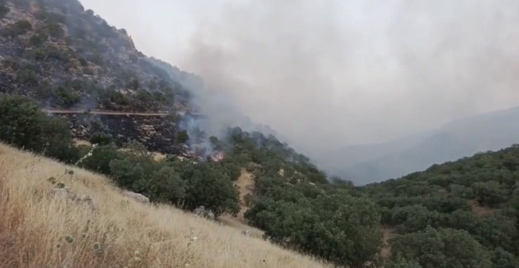 Mardin’deki örtü yangınları kontrol altına alındı