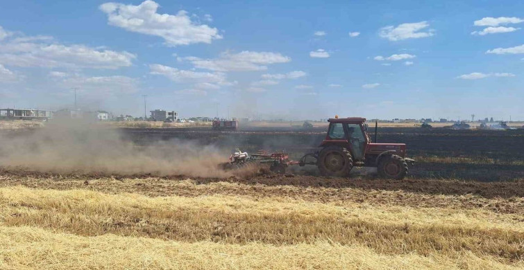 Mardin'deki Yangında 80 Dönüm Buğday Tarlası Yandı