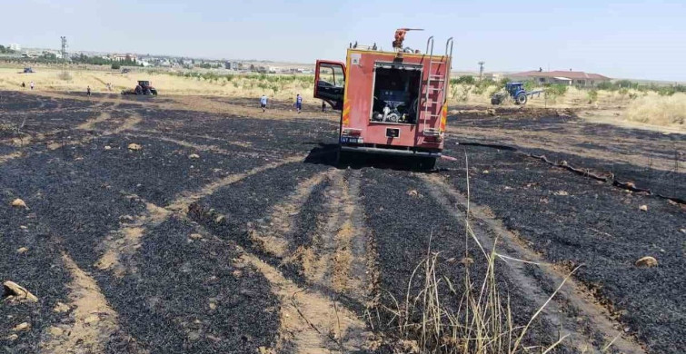 Mardin'in Kızıltepe ilçesinde buğday tarlasında yangın çıkışı