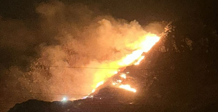 Marmara Adası'nda Yangın Paniği