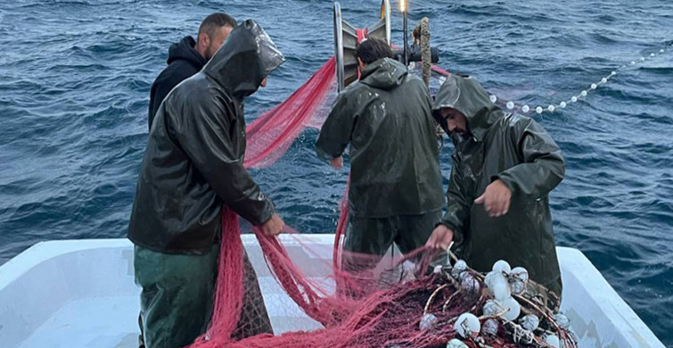 Marmara Bölgesindeki kuvvetli sağanak Balıkçılara yaradı: Kasalar tonlarca hamsiyle doldu taştı