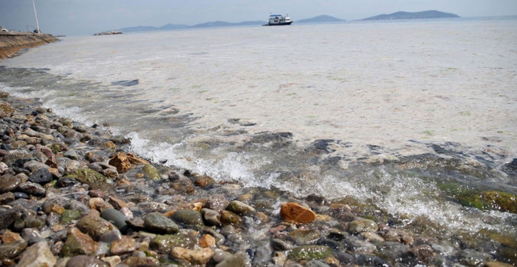 Marmara Denizi'ni Müsilajdan Kurtarmak İçin 3 Aşamalı Yöntem Uygulanmalı!