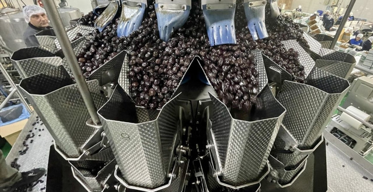 Marmarabirlik Promosyonlarla Zeytinyağı Tüketimini Artırmayı Hedefliyor