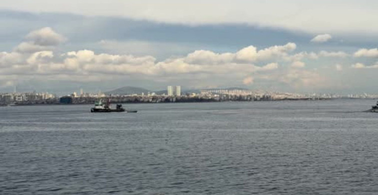 Marmara'da İstavrit Bolluğu: Av Mevsiminin Son Günlerinde Fırsatlar