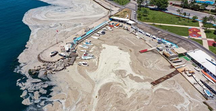 Marmara'ya Müsilajın Ardından Oksijen Azlığı Tehdidi