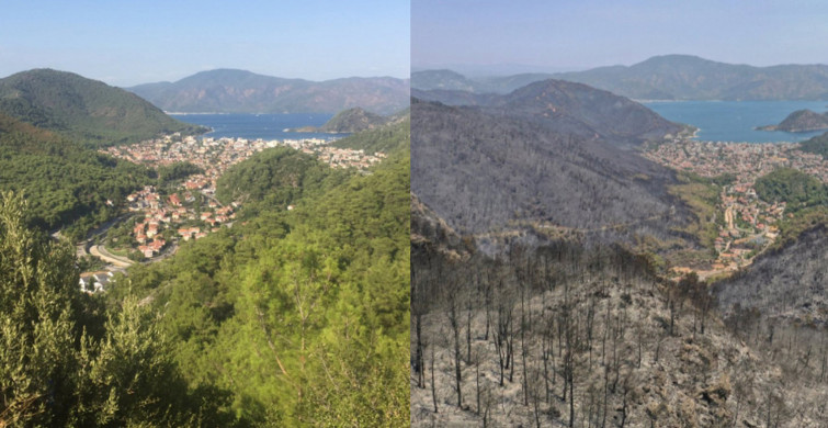Marmaris İçmeler'den İçimizi Yakan Görüntüler Geldi