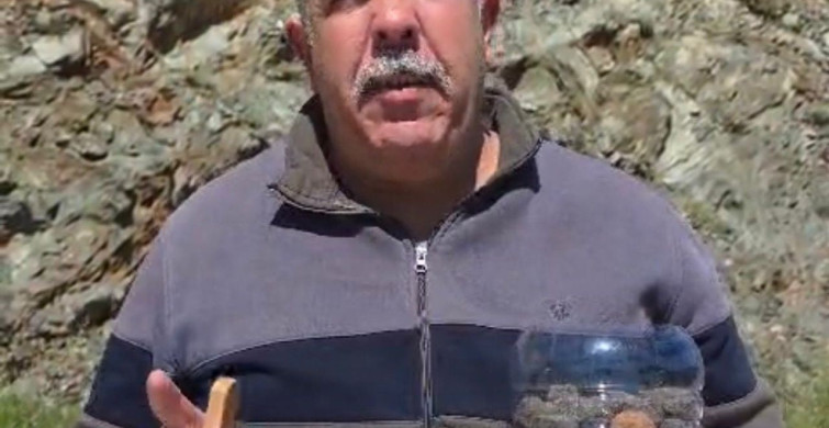 Marmaris'te Doğayı Yeniden Canlandırma Çabaları