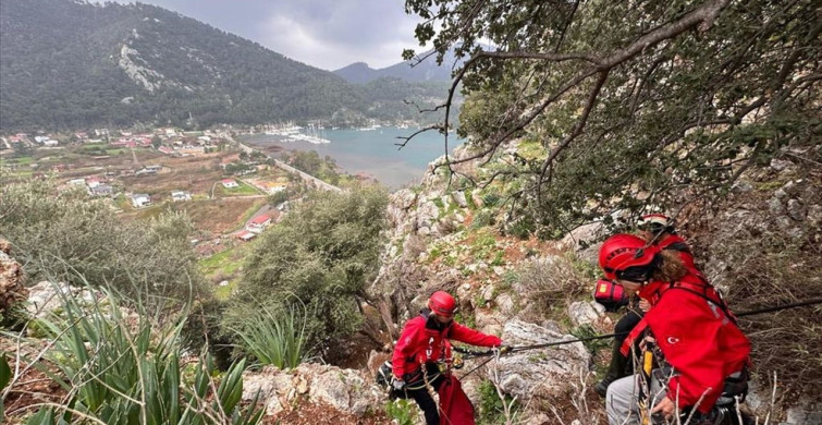 Marmaris'te Kayalıklarda Mahsur Kalan Hayvanlar Kurtarıldı