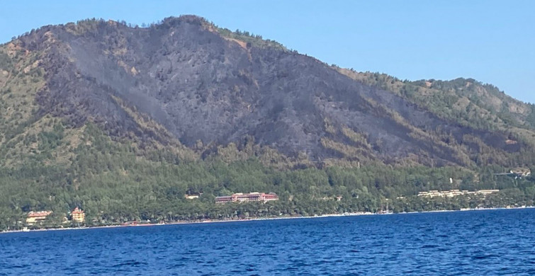 Marmaris'te Yanan Ormanlık Alana Yeni Ağaçlar Dikilecek