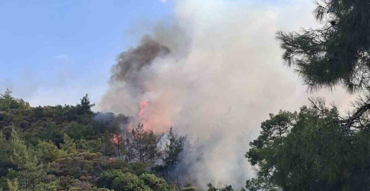 Marmaris'te yıldırım kaynaklı orman yangını devam ediyor