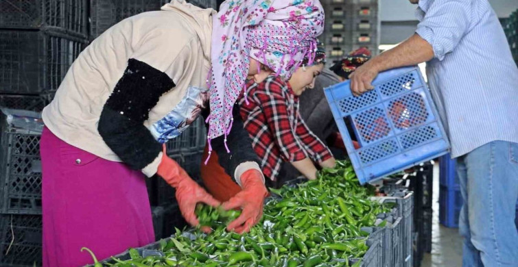 Mart Ayı Hal Endeksi Raporu Açıklandı