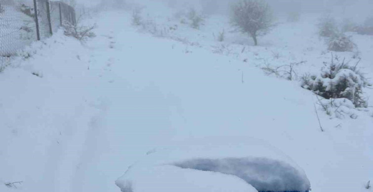 Mart Ayı Sonunda Karıncalı Dağ'da Kar Yağışı
