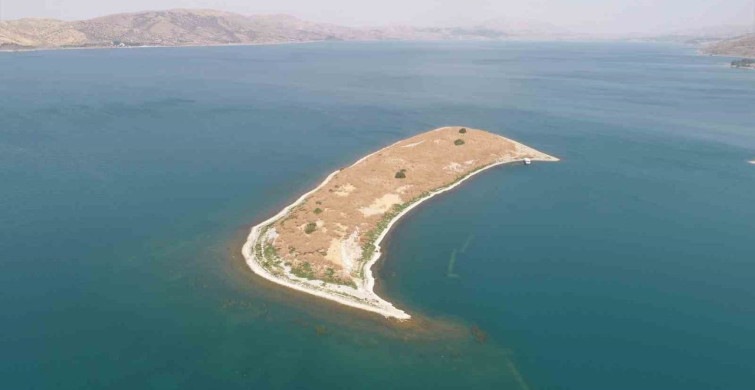 MASSAD, Hazar Gölü’nde tavşan adası için projelerini açıkladı