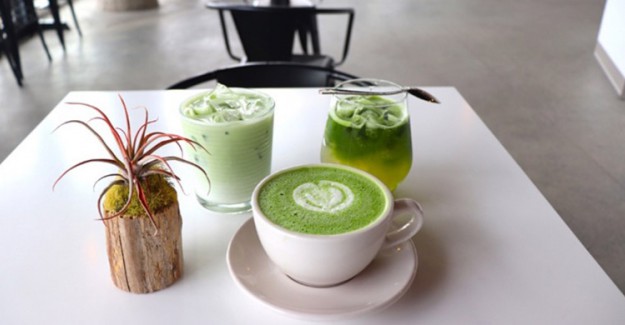 Matcha Çayı Neyden Yapılır? Matcha Çayının Yeşil Çaydan Farkı Nedir?