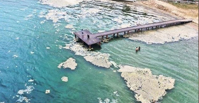 Mavi bayraklı Altın Kemer Plajında Deniz Salyası Kabusu
