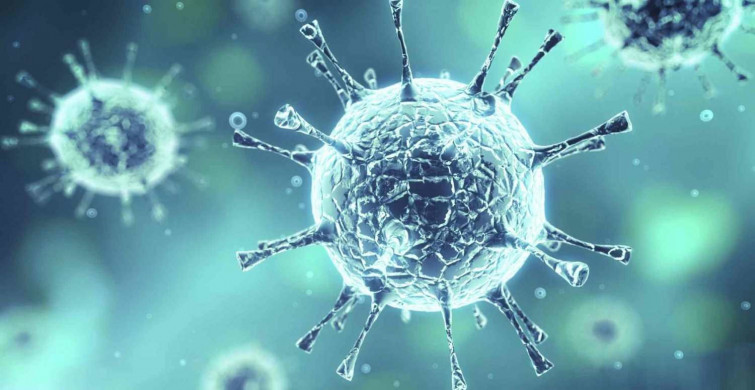 Maymun çiçeği virüsü nedir, nasıl bulaşır? Maymun çiçeği (Monkeypox) belirtileri neler? Maymun çiçeği virüsü tedavisi var mı?