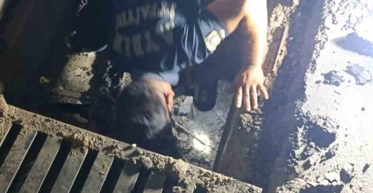 Mazgalda 3 gün mahsur kalan kedi, 2 saatlik çalışmayla kurtarıldı