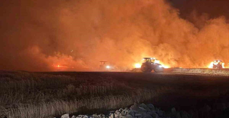 Mazıdağı’nda çıkan yangında buğday ve arpa ekili araziler zarar gördü