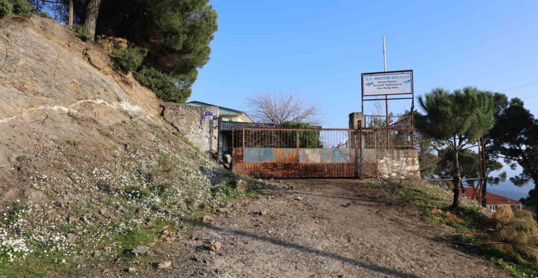 Mazon Bölgesi Kooperatifi Çökerken