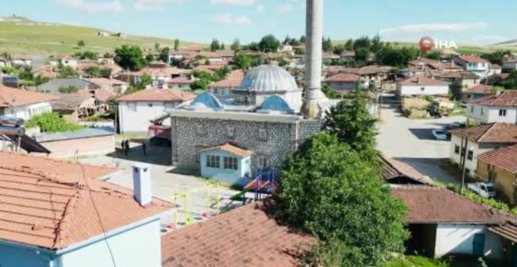 Mecitözü'nde yavru leylek itfaiye ekipleri tarafından kurtarıldı