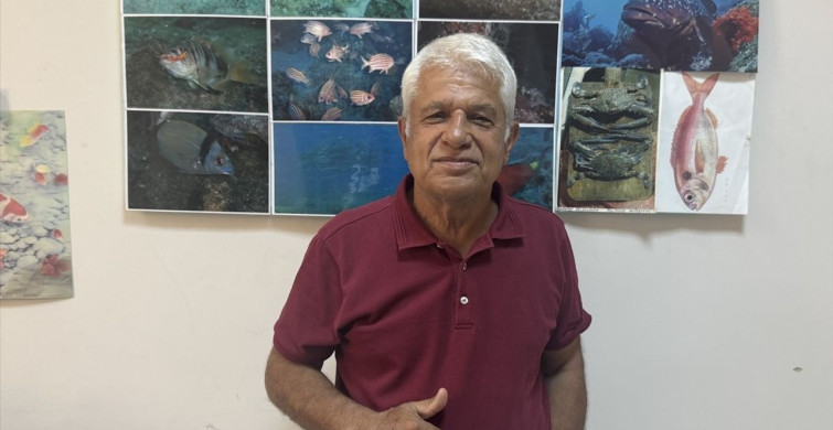 Meis Adası'nda Yavru Akdeniz Foku Görüntülendi