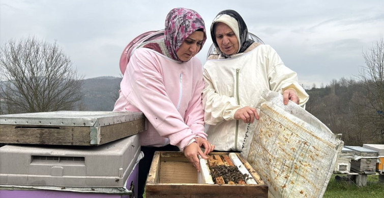 Meliha Akosman ve Kızları: Aile Arıcılık Geleneği