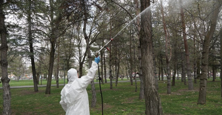 Melikgazi'de Yaz İçin Haşere İlaçlama Faaliyetleri Başlatıldı