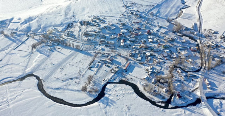 Menderesler, Kars'ta Hayvancılığa Destek Veriyor