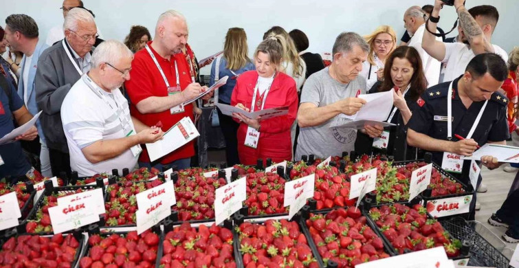 Menemen'de 16. Uluslararası Çilek Festivali Rüzgarı