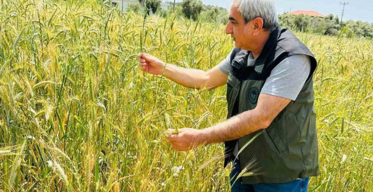 Menteşe'de Tarım Kontrolleri Sıklaştırıldı