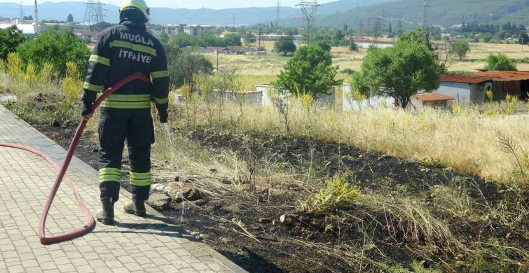 Menteşe'de yol kenarına atılan sigara izmariti yangın çıkardı