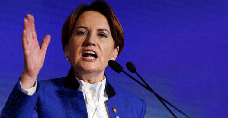 Meral Akşener Babacan ve Davutoğlu'na Destek Verdi