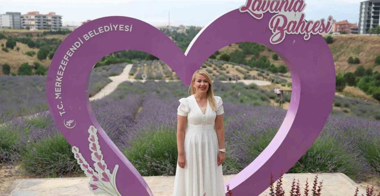 Merkezefendi'nin lavanta bahçesi, yaz aylarında ilgi odağı