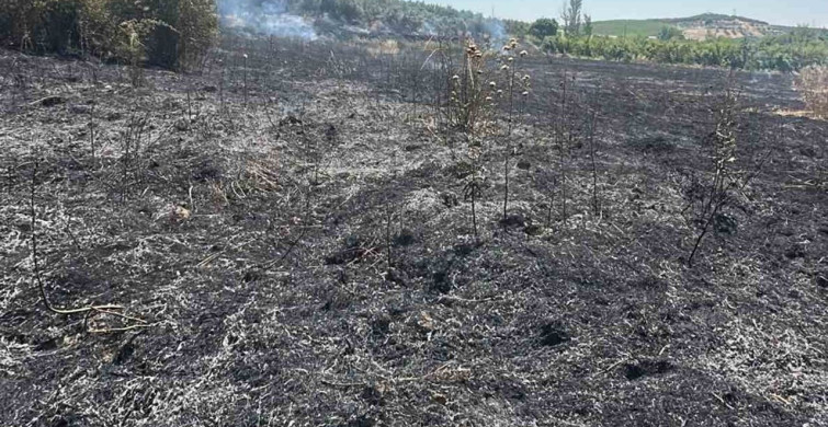 Mersin Mut’ta Bahçe Yangını: 15 Dönüm Zarar Gördü