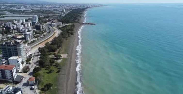 Mersin Sahillerindeki Zehirli Denizanası Tehditi