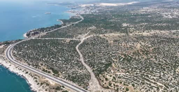 Mersin'de 2 bin yıllık roma yolu gün yüzüne çıkarıldı