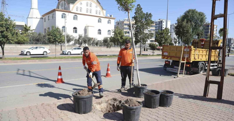 Mersin'de Ağaçlandırma Seferberliği Başladı
