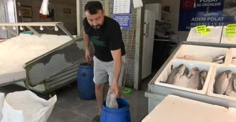 Mersin’de dev yılan balığı tezgahı süsledi