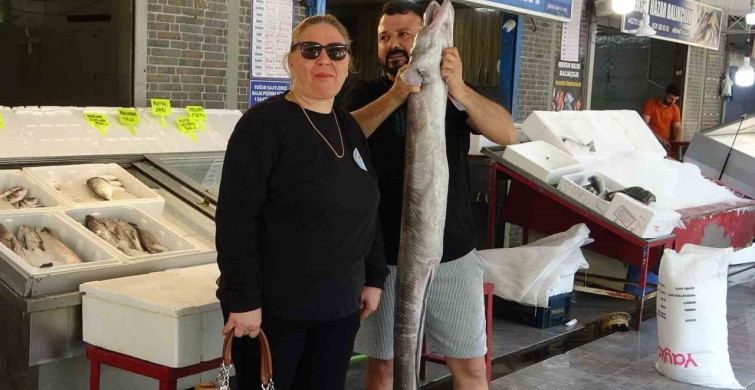 Mersin'de dev yılan balığı tezgahta ilgi odağı oldu