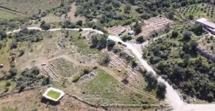 Mersin'de Doğal Beyaz Bal Üretimi