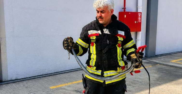 Mersin'de hava sıcaklıkları yılan vakalarını artırdı: 184 müdahale gerçekleşti