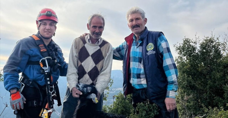 Mersin'de Mahsur Kalan Keçiler Kurtarıldı