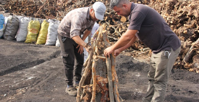 Mersin'de Mangal Kömürü Üretimi: İşçiler Meşe Odunlarını Dönüştürüyor