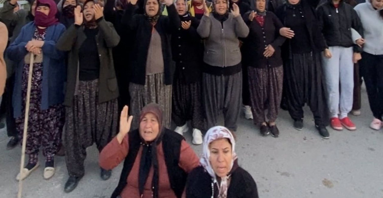 Mersin'de Narenciye Bahçeleri İçin Gerginlik