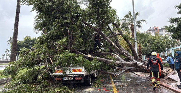 Mersin'de Rüzgar ve Ağaç Devrilmesi: 3 Araç Hasar Gördü