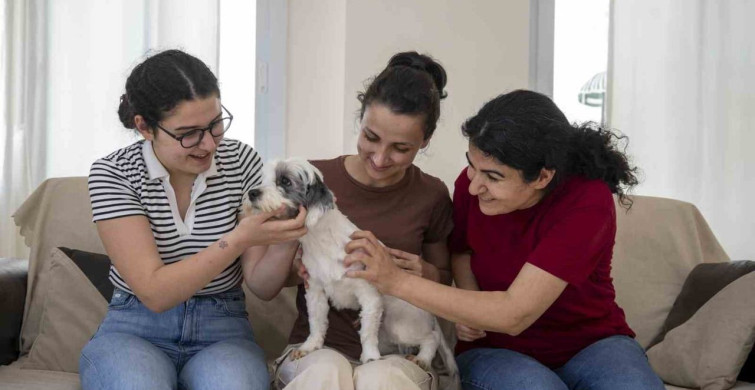 Mersin'de Sahiplendirme Kampanyası: 1.927 Köpek Yeni Yuva Buldu