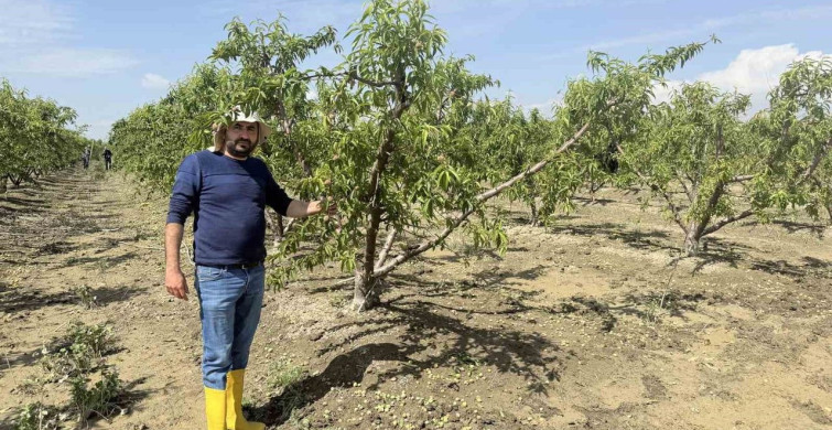 Mersin'de Sel Sonrası Tarım Arazilerinde Yeniden Başlangıç