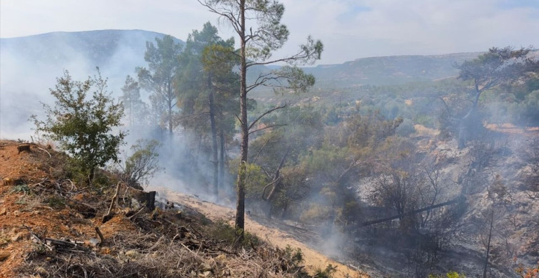 Mersin'de Temizlik İçin Yakılan Ateşte Trajik Yangın