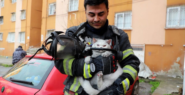 Mersin'de Yangın: Hamile Kedi Kurtarıldı